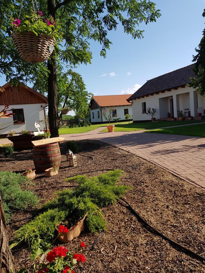 Toth Vendeghaz Es Apartmanhaz Ujfeherto Bagian luar foto