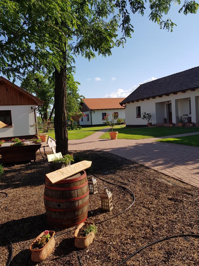 Toth Vendeghaz Es Apartmanhaz Ujfeherto Bagian luar foto